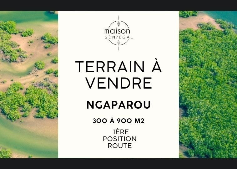 Terrain a vendre en bord de route et en premiere position a Ngaparou