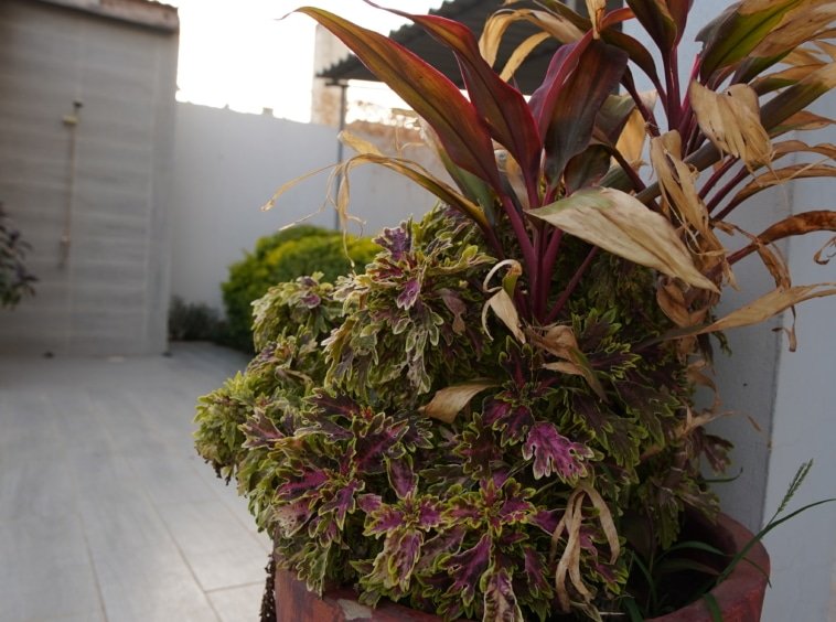 Villa a louer Allee des Milliardaires Saly191 scaled