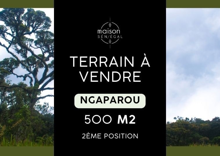 Terrain a vendre a Ngaparou 1