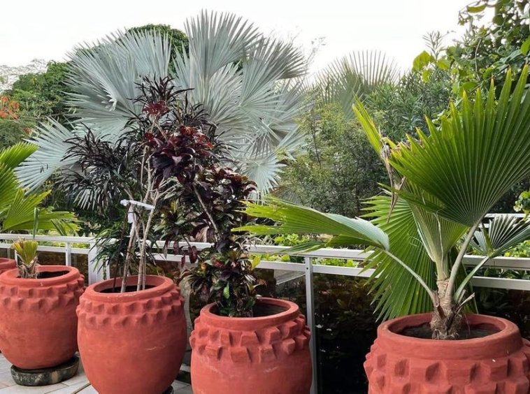 Villa a vendre a Nguekokh4