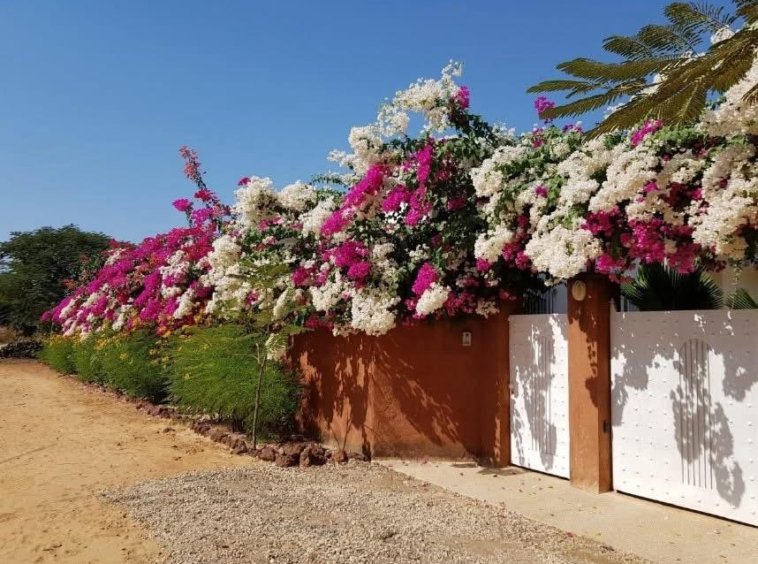 Villa meublee avec piscine a vendre a Saly a proximite de lhotel Rhino 1