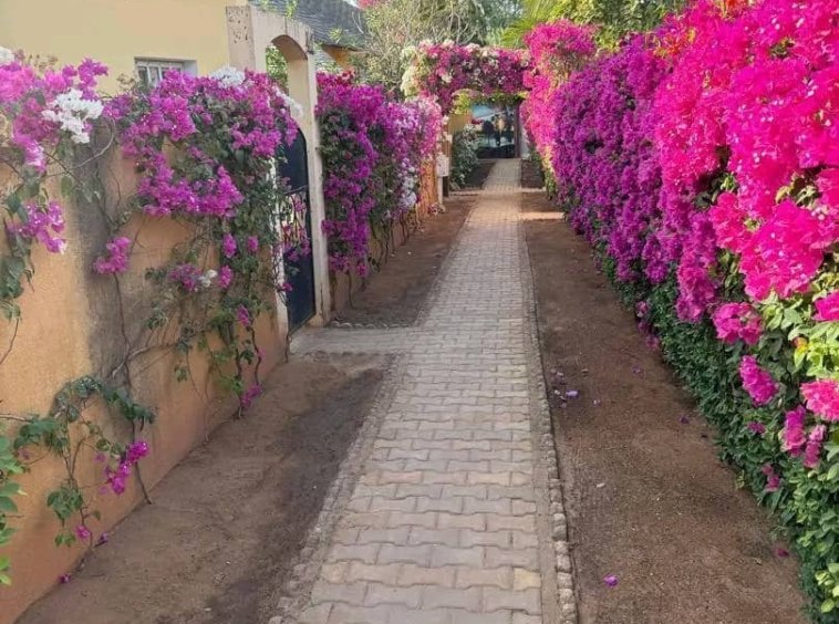 Villa meublee situee dans la residence Paradis a Saly.7