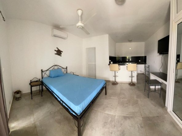 Superbe villa bien placée meublé avec piscine à vendre à Nguerigne7