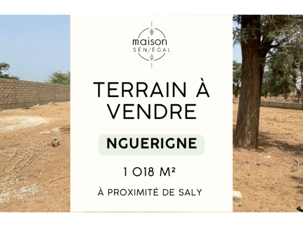 Terrain de 1 018 m² à vendre à Nguerigne