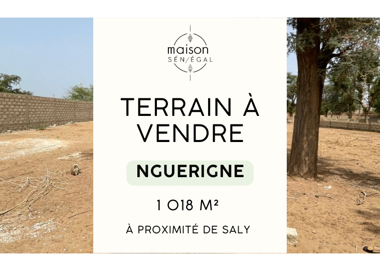 Terrain de 1 018 m² à vendre à Nguerigne