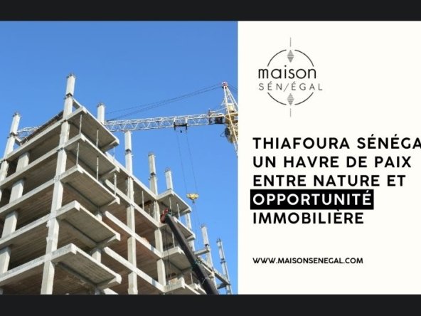 Thiafoura Sénégal Un havre de paix entre nature et opportunité immobilière