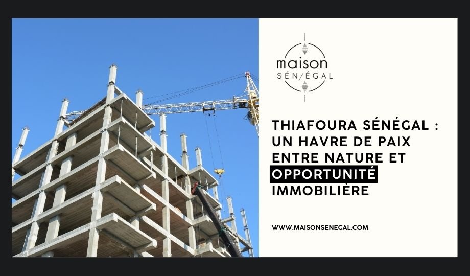 Thiafoura Sénégal Un havre de paix entre nature et opportunité immobilière