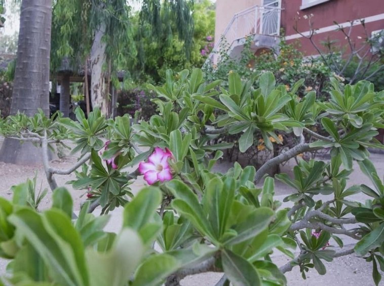 appartement a louer a ngaparou dans une residence.11.jpg